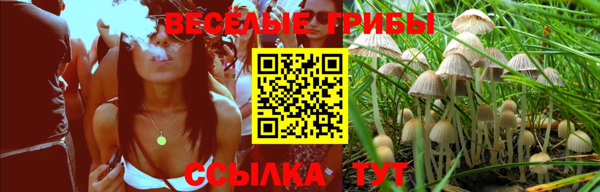 Галлюциногенные грибы Cubensis Норильск